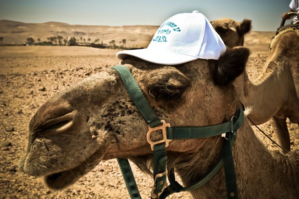 "  " -        -        .